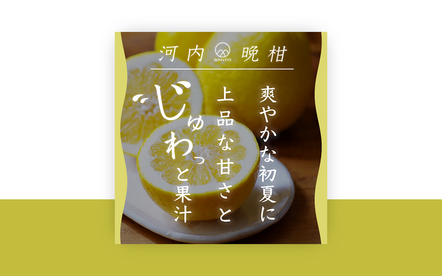 河内晩柑の宣伝バナー